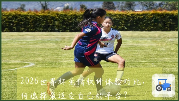 2026世界杯竞猜软件体验对比，如何选择最适合自己的平台？