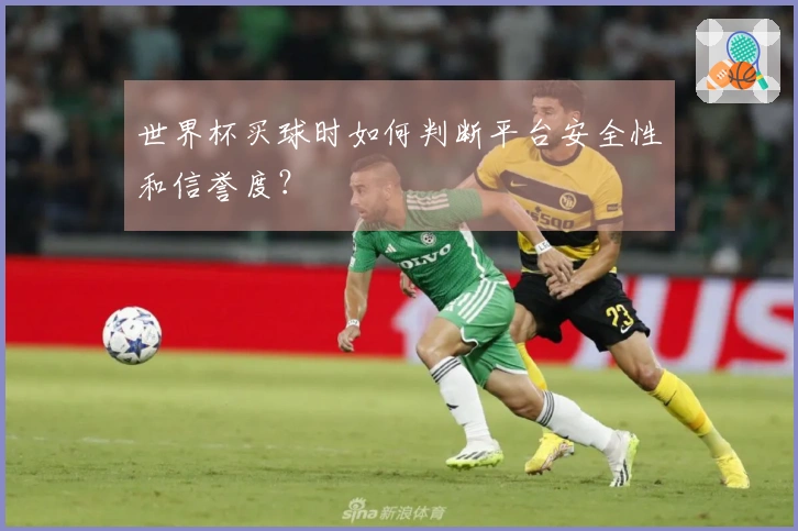 世界杯买球时如何判断平台安全性和信誉度？
